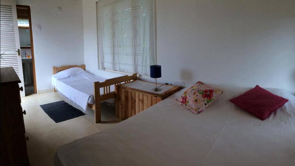 캔디 Summit View B&B 외부 사진